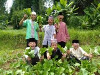 Perkebunan Sayur Mayur